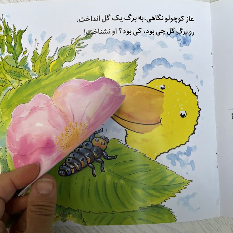 کتاب های شعر غاز کوچولو مناسب کودک +۲ سال — تصویر ۶