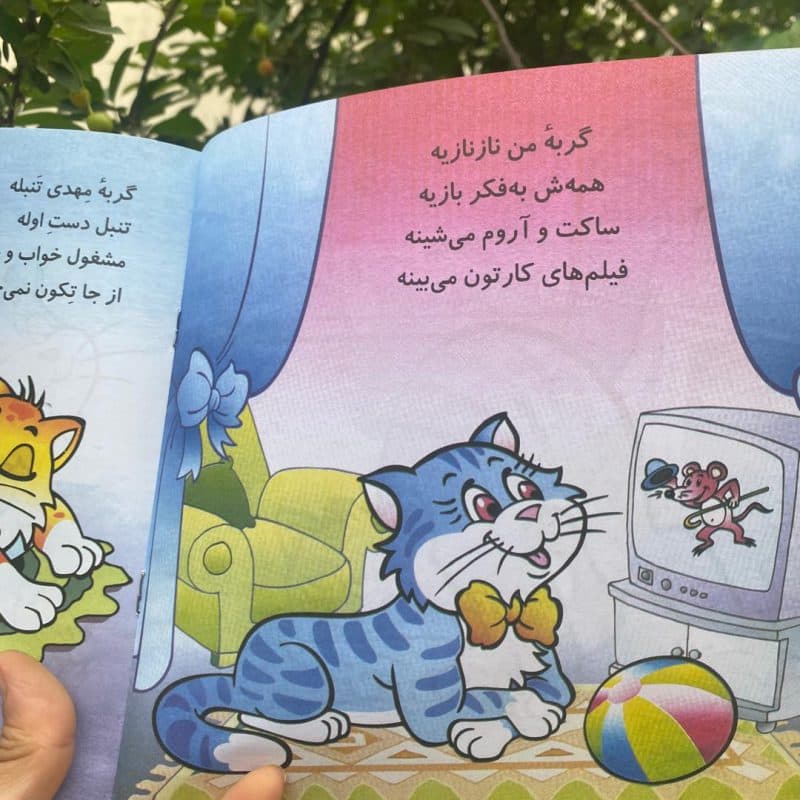 کتاب های شعر حسنی شاعر منوچهر احترامی مناسب کودک +۲ سال — تصویر ۳