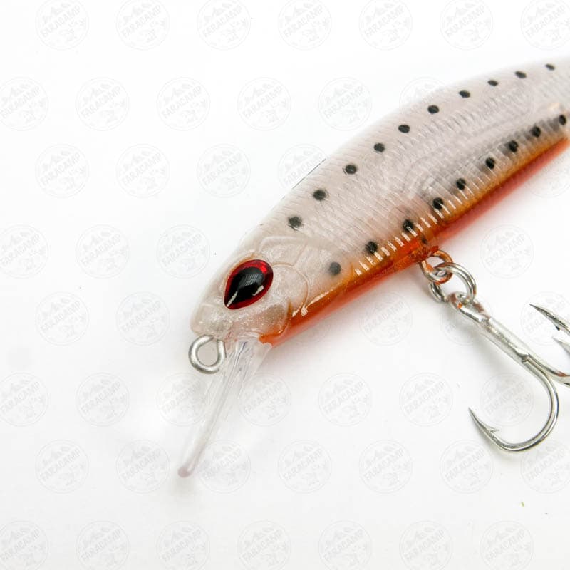 لور سینک ریوجی ۷ سانت، ۹ گرم مدل RYUJI S70 SINKING GHOST SHRIMP GLOW — تصویر ۳
