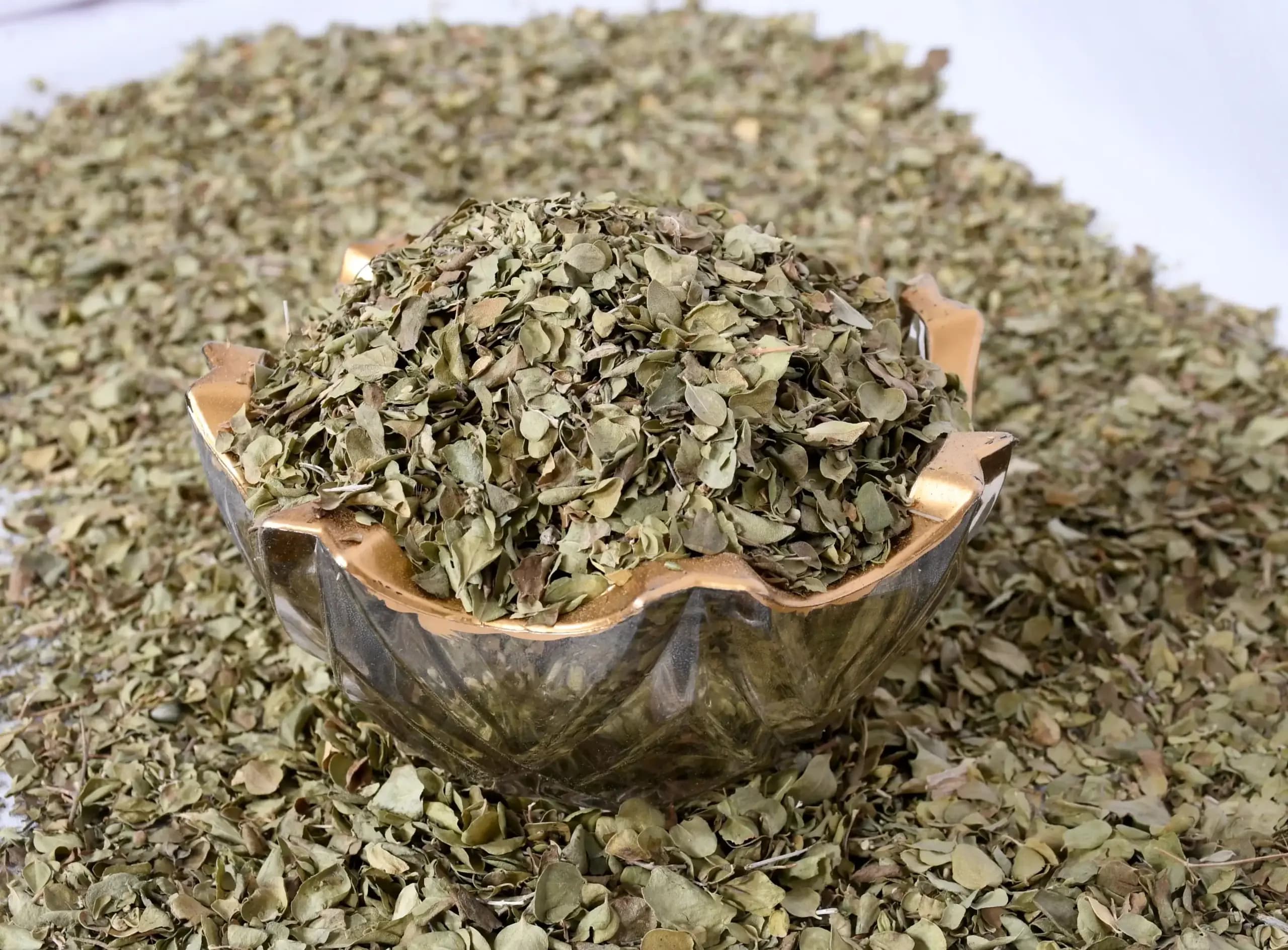 آویشن برگ پهن شیرازی