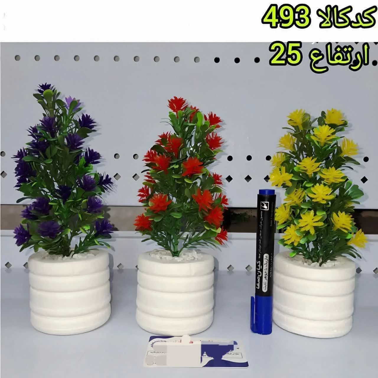 گلدان سنگی لیوانی رزماری 20 گل سرگل کاکتوس