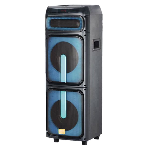 اسپیکر حرفه ای مکسیدر Maxeeder | مدل CN 1011 | با میکروفن