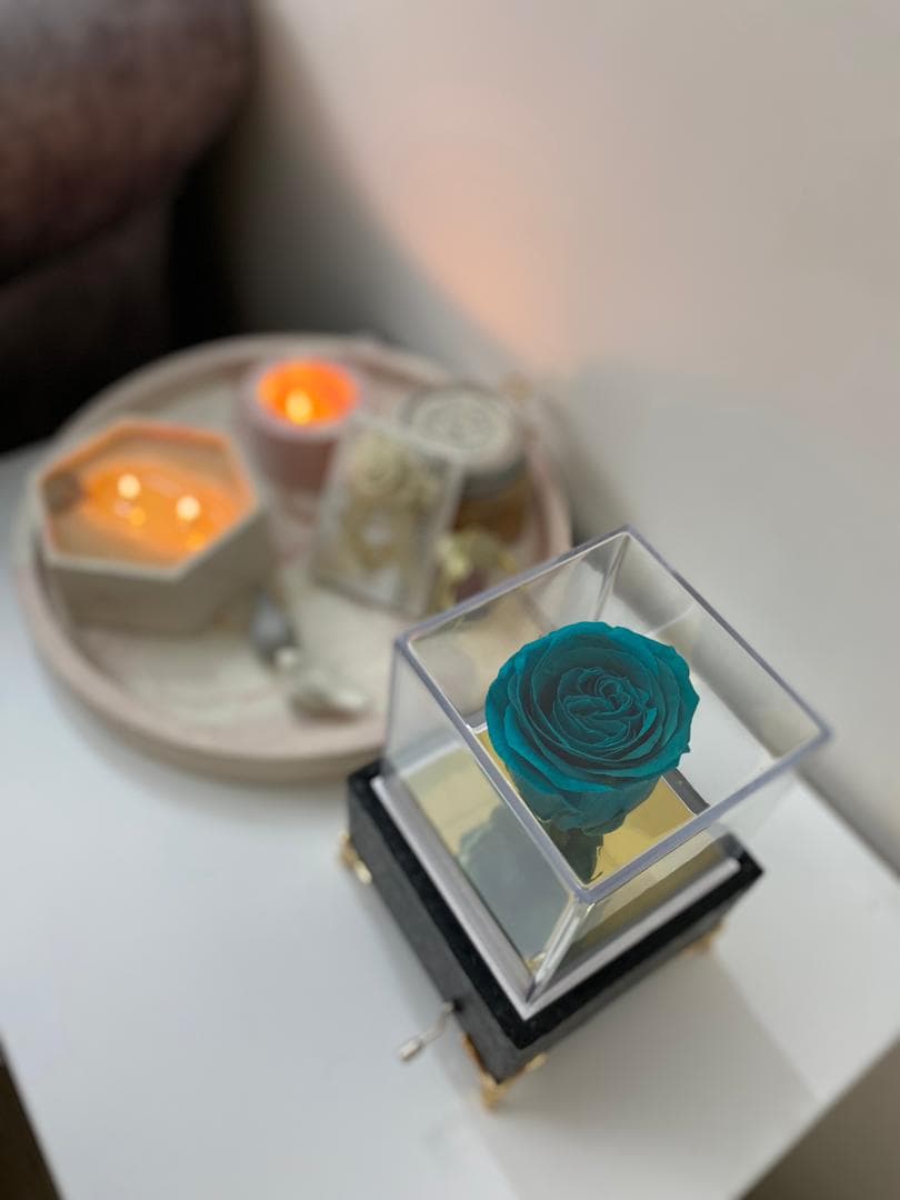 رز جاودان موزیکال لاکچری — تصویر ۴