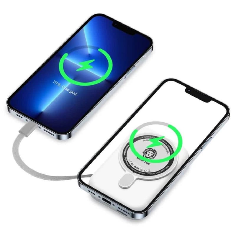 پاوربانک ۱۰۰۰۰ میلی آمپر موناکو گرین لاین Monaco 10000mah Powerbank — تصویر ۵