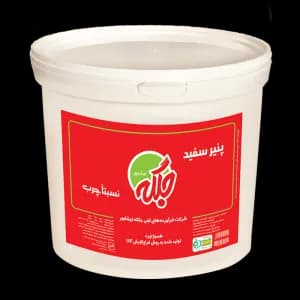 پنیر سفید جلگه 10 کیلوگرم
