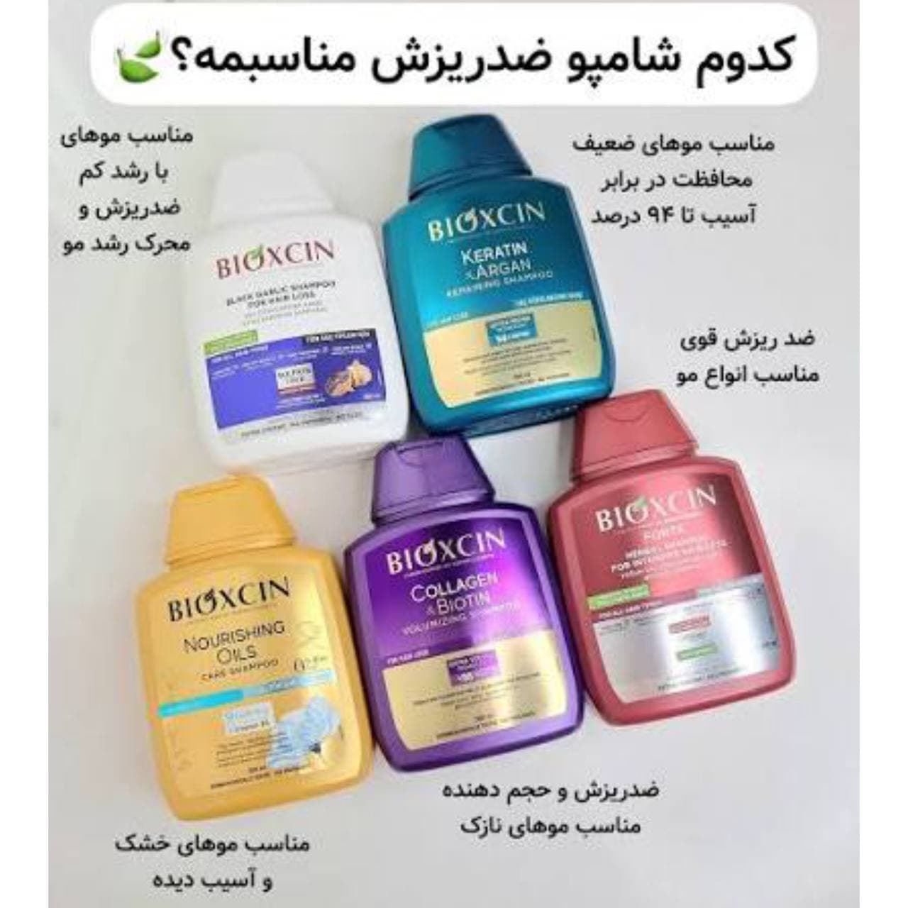 شامپو ضد ریزش مو بدون سولفات حاوی عصاره سیر سیاه بیوکسین BIOXCIN — تصویر ۴