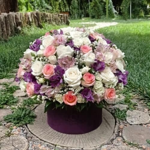 گل فروشی اطراف آرایشگاه زنانه فاطیما محله سیزده آبان تهران t7247