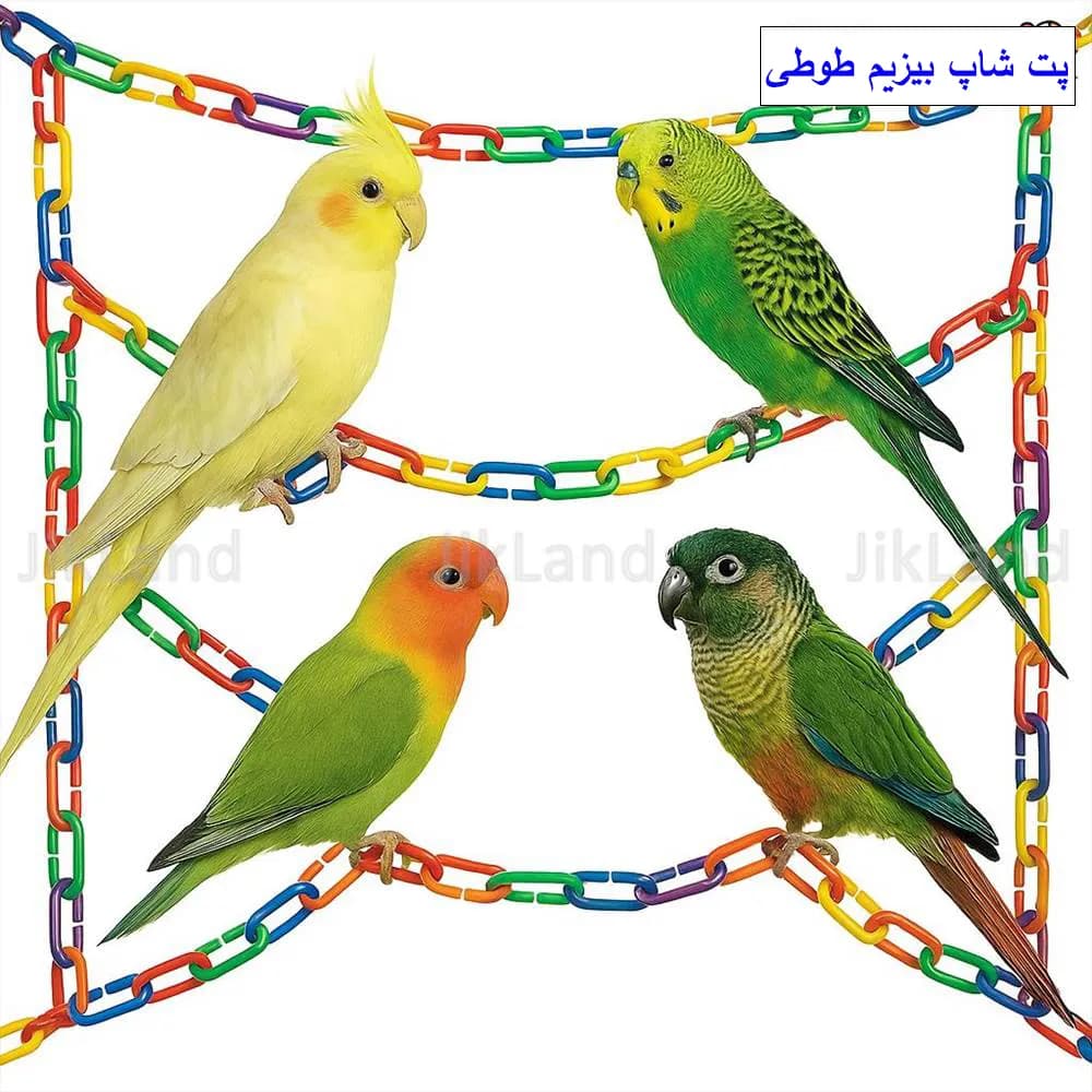اسباب بازی پرندگان – زنجیر بازی — تصویر ۳