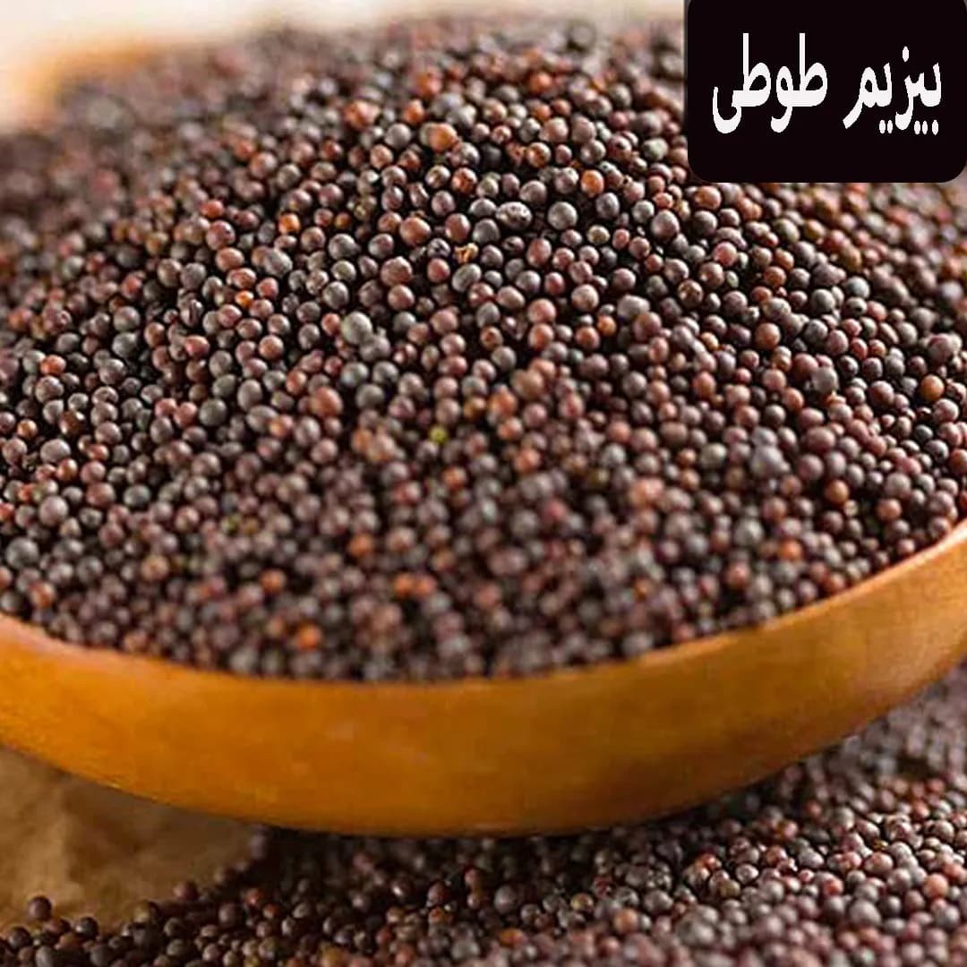 دانه کلزا مخصوص پرندگان زینتی