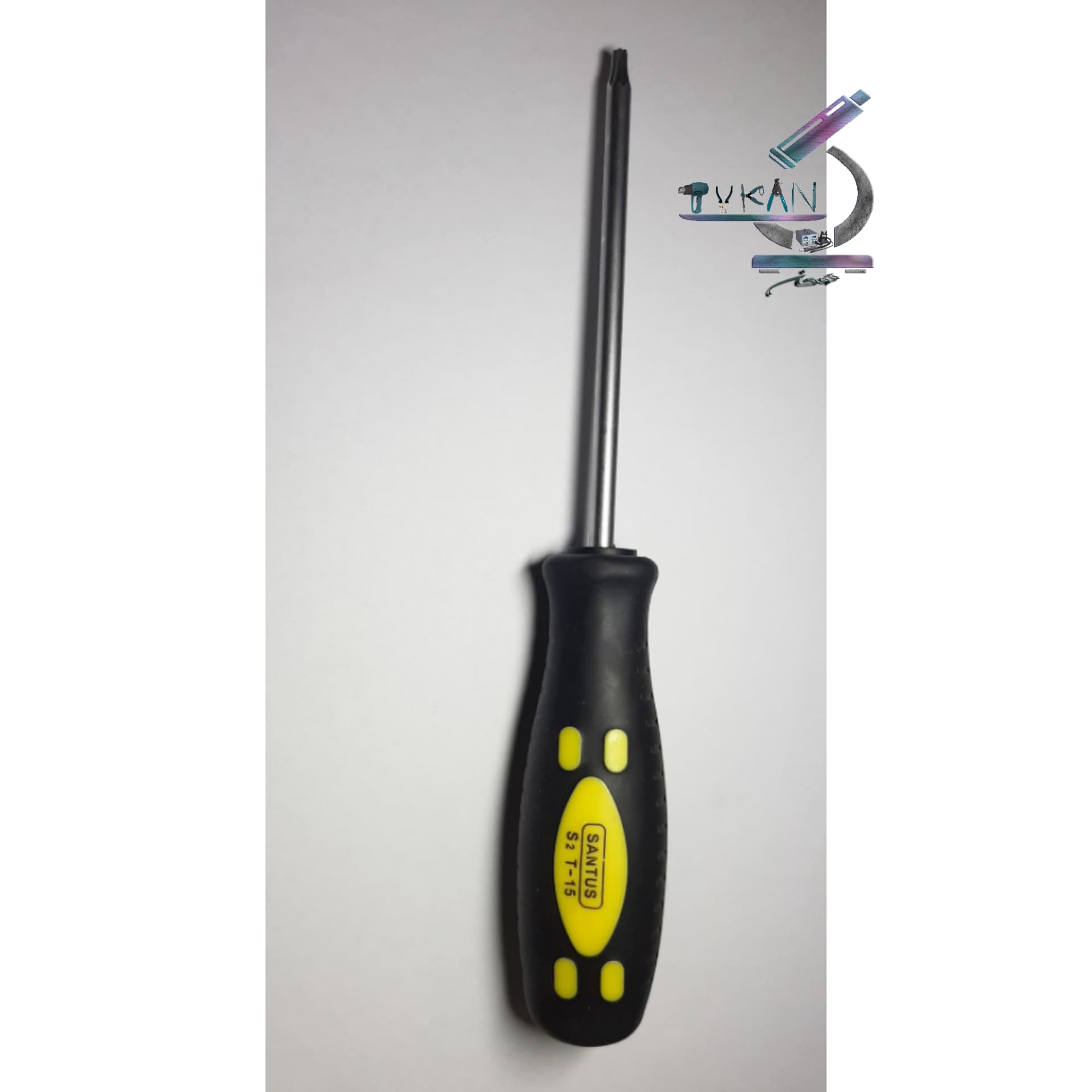 پیچ گوشتی ستاره ای سایز T15 سوراخ‌دار Santus1388