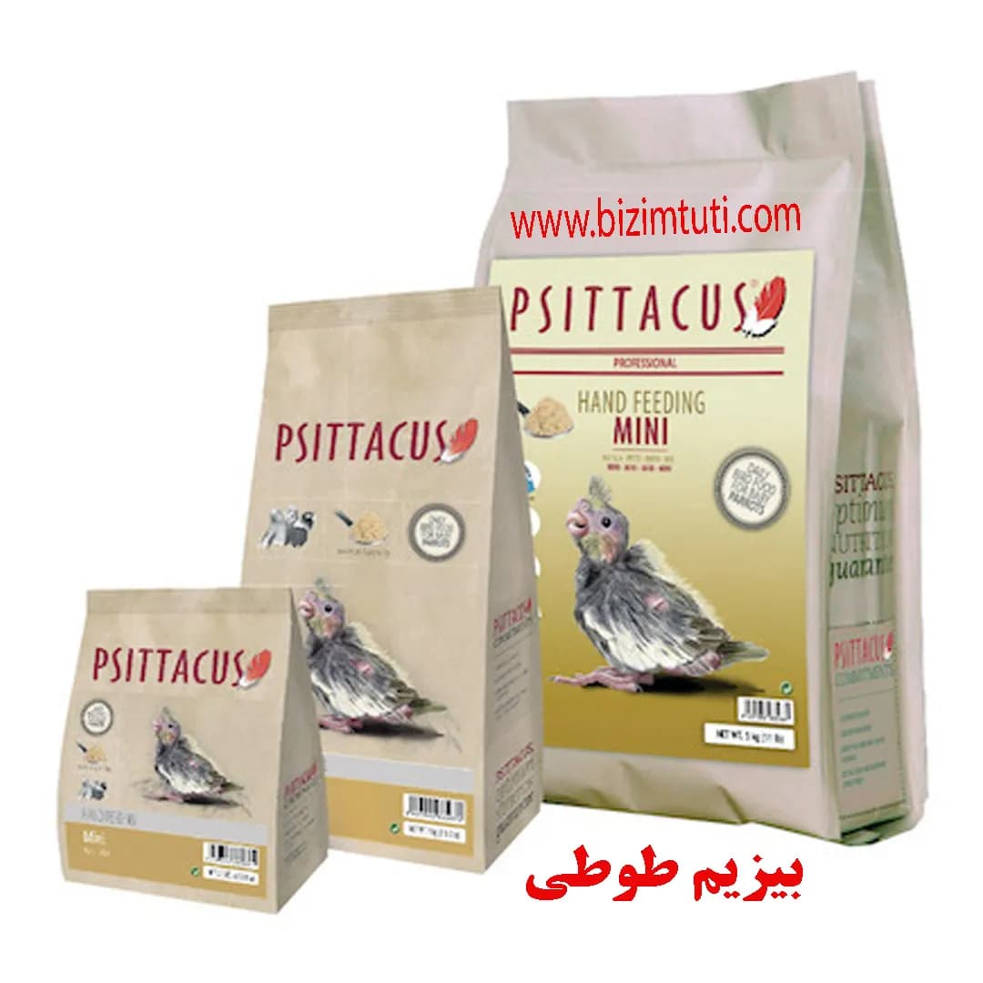 سرلاک طوطی سانان سیتاکوس اسپانیا