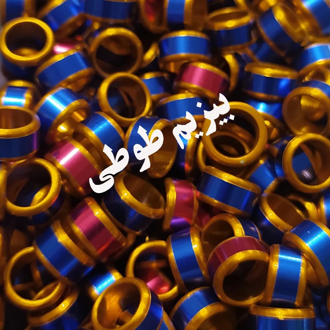 حلقه پای طوطی سانان متوسط جثه — تصویر ۳
