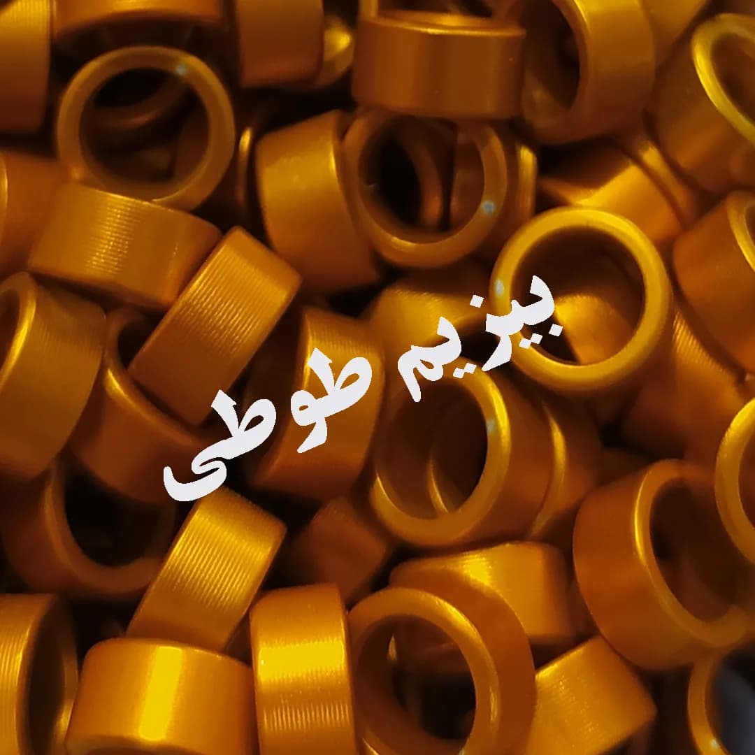 حلقه پای طوطی سانان متوسط جثه — تصویر ۴