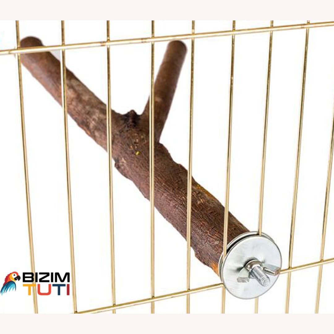 چوب دوسر مخصوص پرندگان زینتی(ارسال تبریز) — تصویر ۲