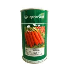 بذر هویج (500gr)
