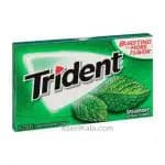 آدامس تریدنت سبز نعنایی تکی 14 عددی – TRIDENT
