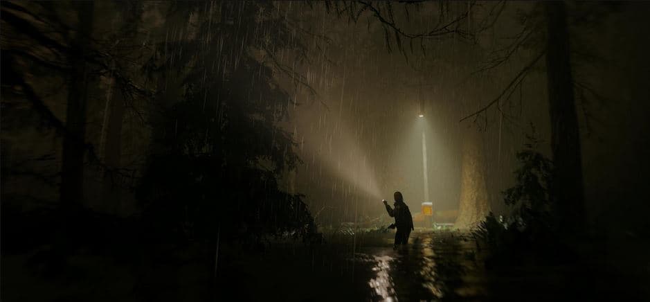 بازی Alan Wake 2 برای کامپیوتر — تصویر ۲