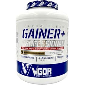 پودر گینر پلاس ویگور 3000 گرم Vigor Gainer Powder 3000 g