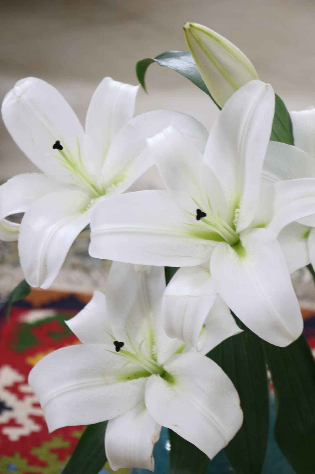 گل لیلیوم سفید(۵شاخه) — تصویر ۲