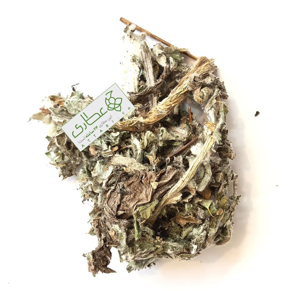 کنگر فرنگی خوراکی یا آرتیشو — تصویر ۲