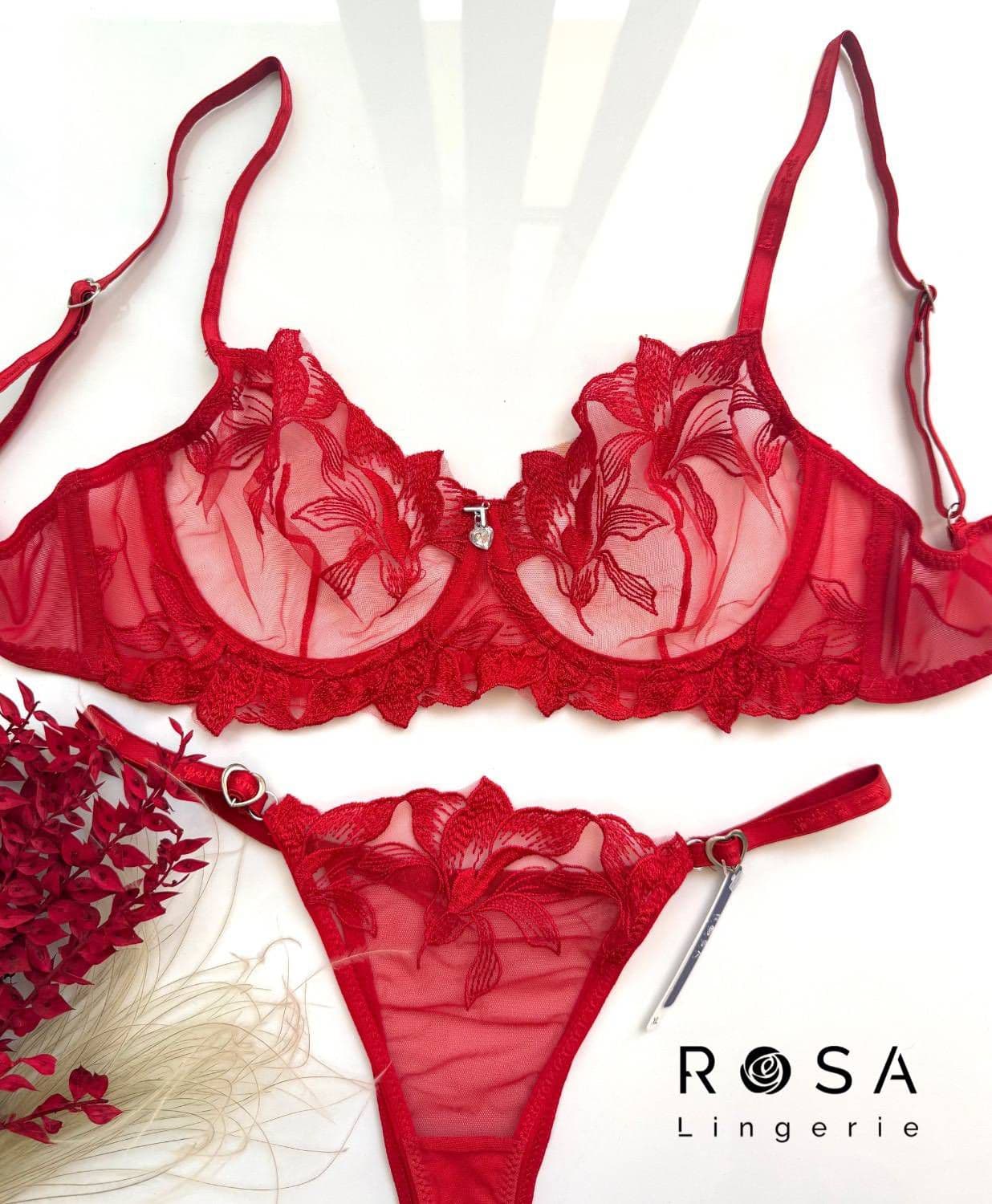 ست لباس زیر شورت و سوتین فنردار دانتل اروپایی Rosa کد 1674 — تصویر ۲