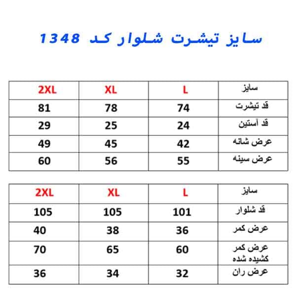 ست تیشرت و شلوار مردانه کد 1348 — تصویر ۲