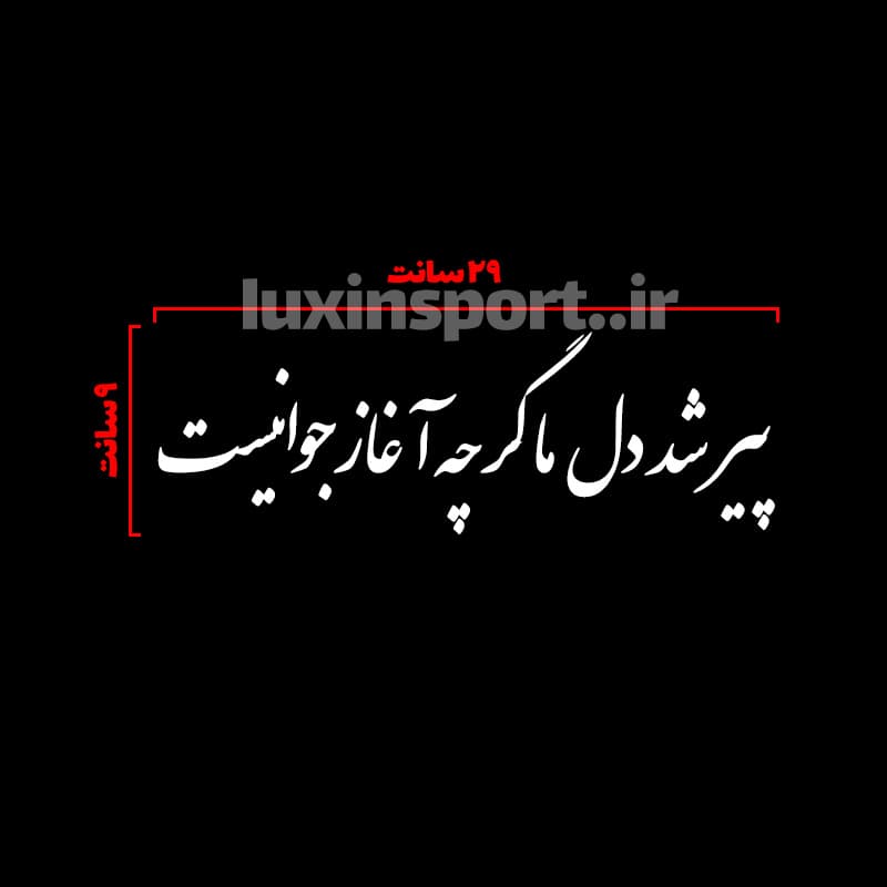 برچسب شیشه خودرو نوشته پیر شد دل ما گرچه آغاز جوانیست – سفید – 29*9 سانت — تصویر ۲