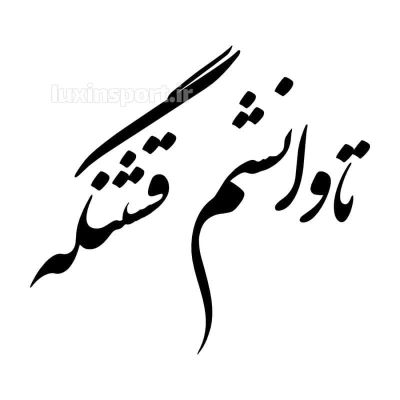 برچسب بدنه خودرو نوشته تاوانشم قشنگه – مشکی – 11*11 سانت — تصویر ۴
