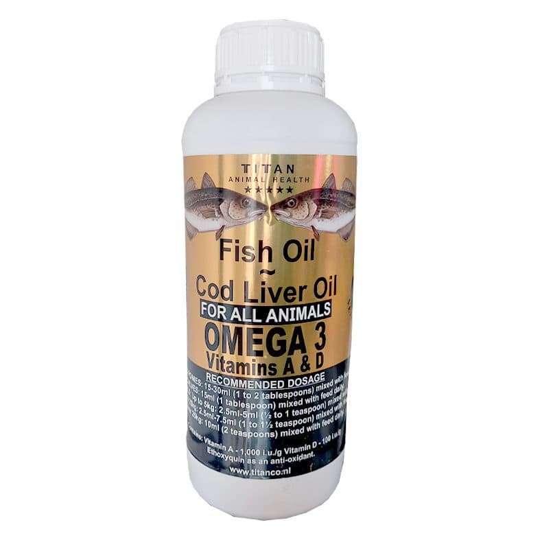 روغن ماهی اومگا ۳ – Fish oil Omega 3