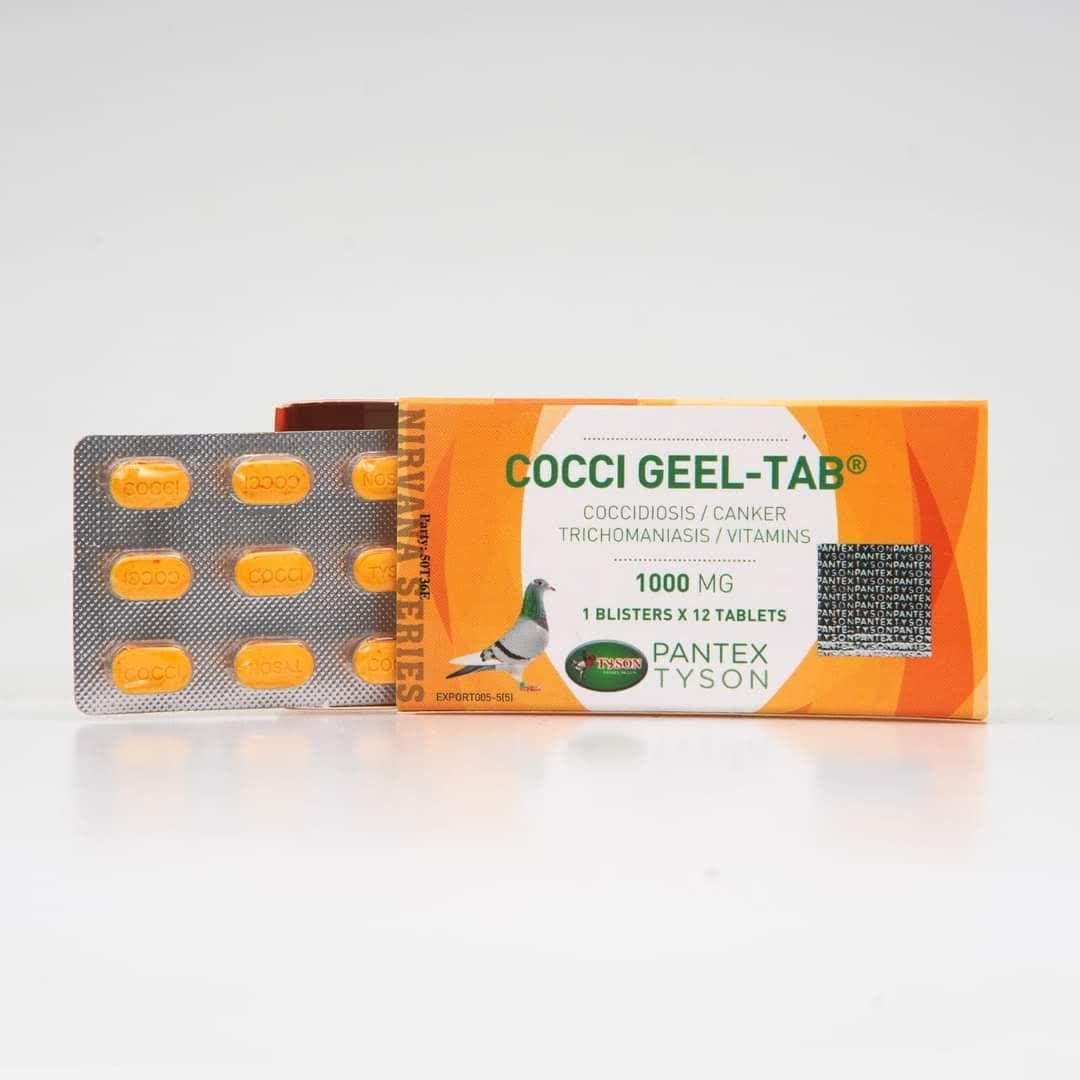 کوکسی جیل تایسون COCCI-GEEL tyson — تصویر ۳