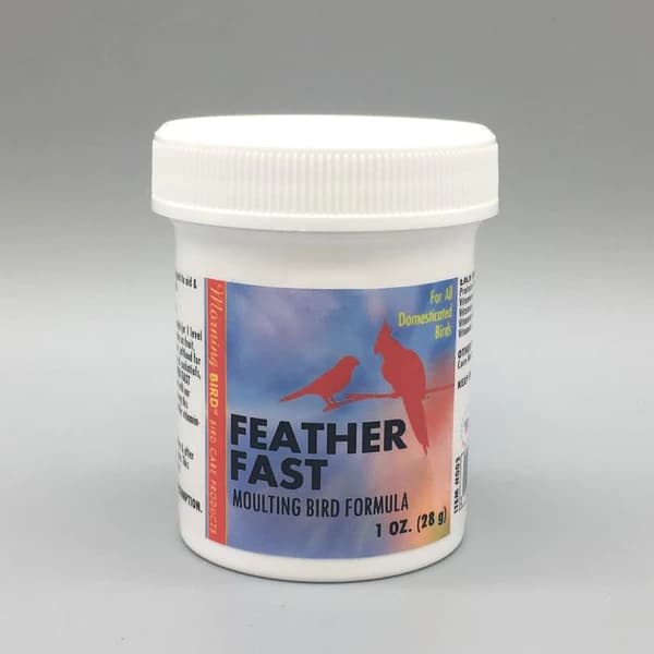مکمل پرسازی FEATHER FAST مورنینگ برد — تصویر ۲