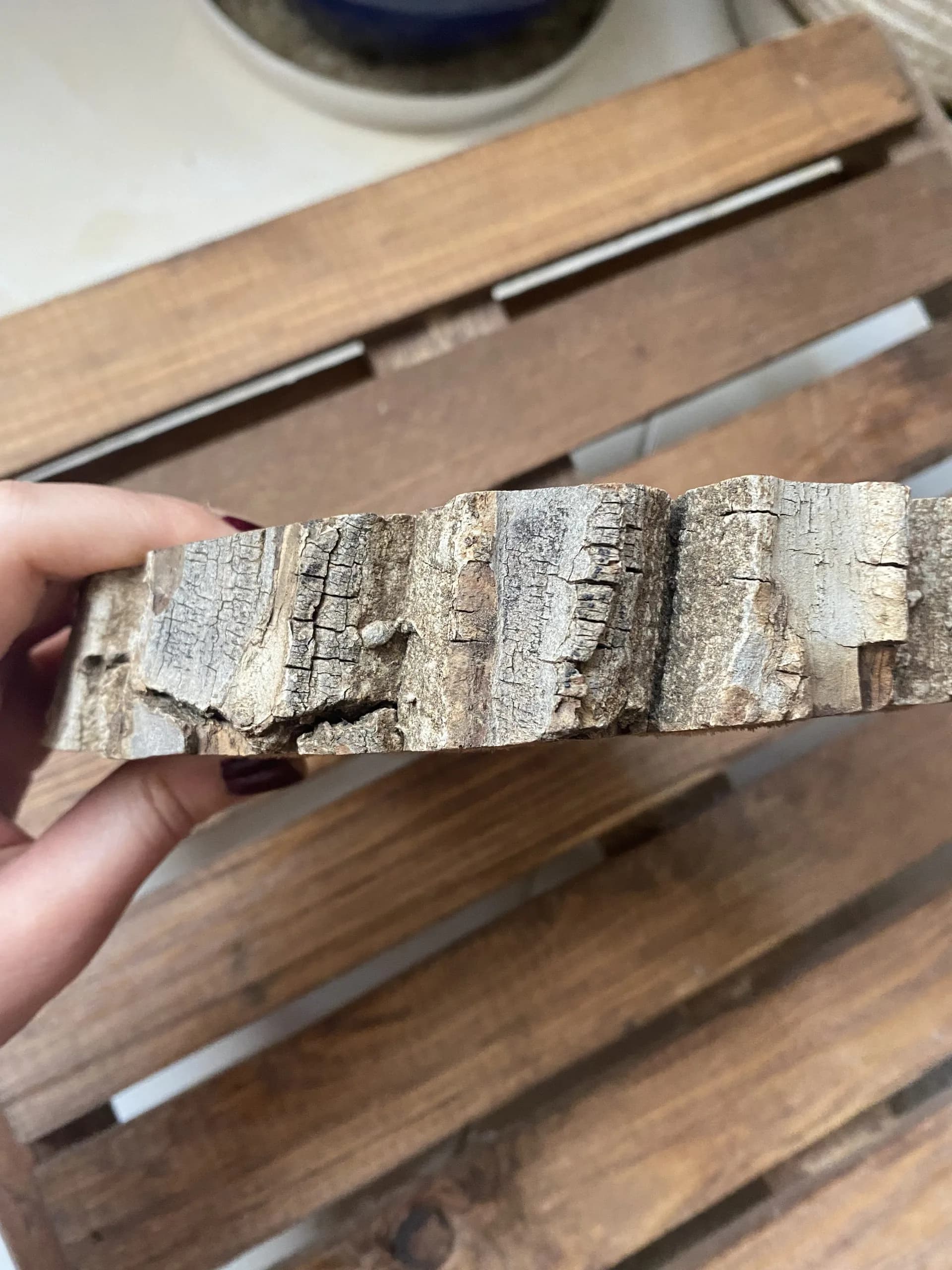 صفحه چوبی تنه درخت — تصویر ۲