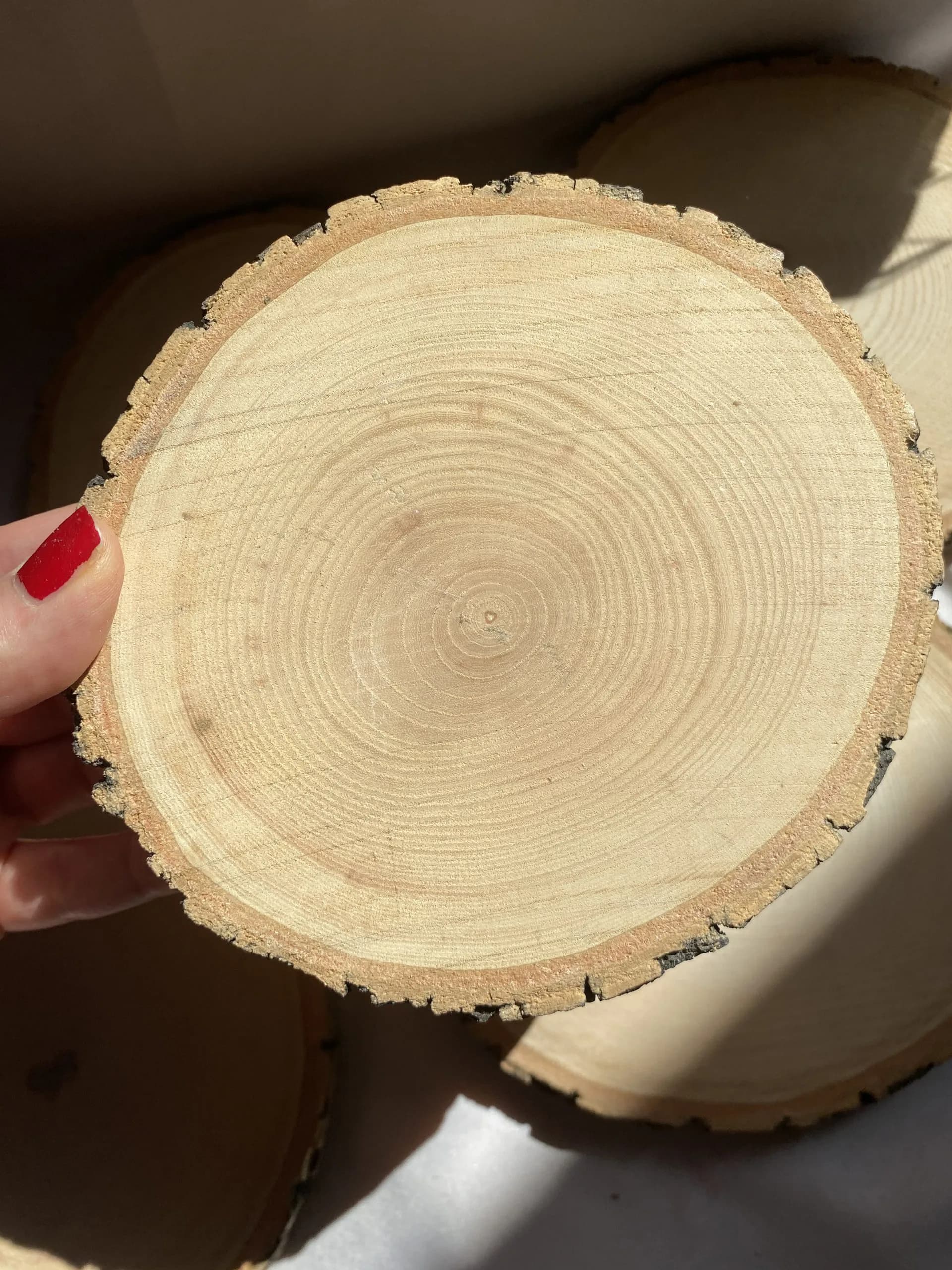 صفحه چوبی تنه درختی