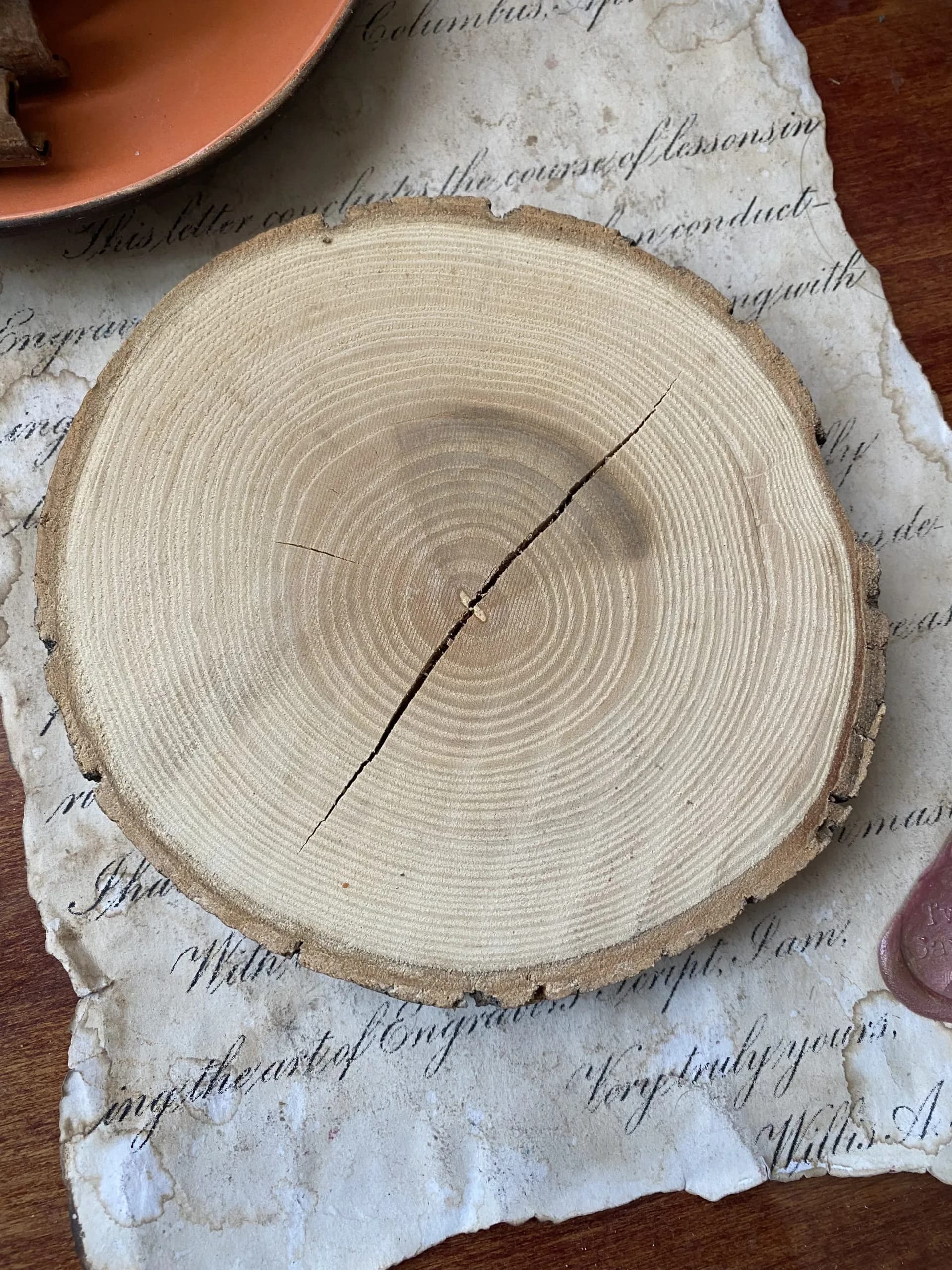 صفحه چوبی تنه درختی — تصویر ۳