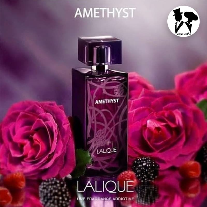 عطر ادکلن زنانه لالیک آمیتیس مستر کوالیتی | Lalique Amethyst — تصویر ۳