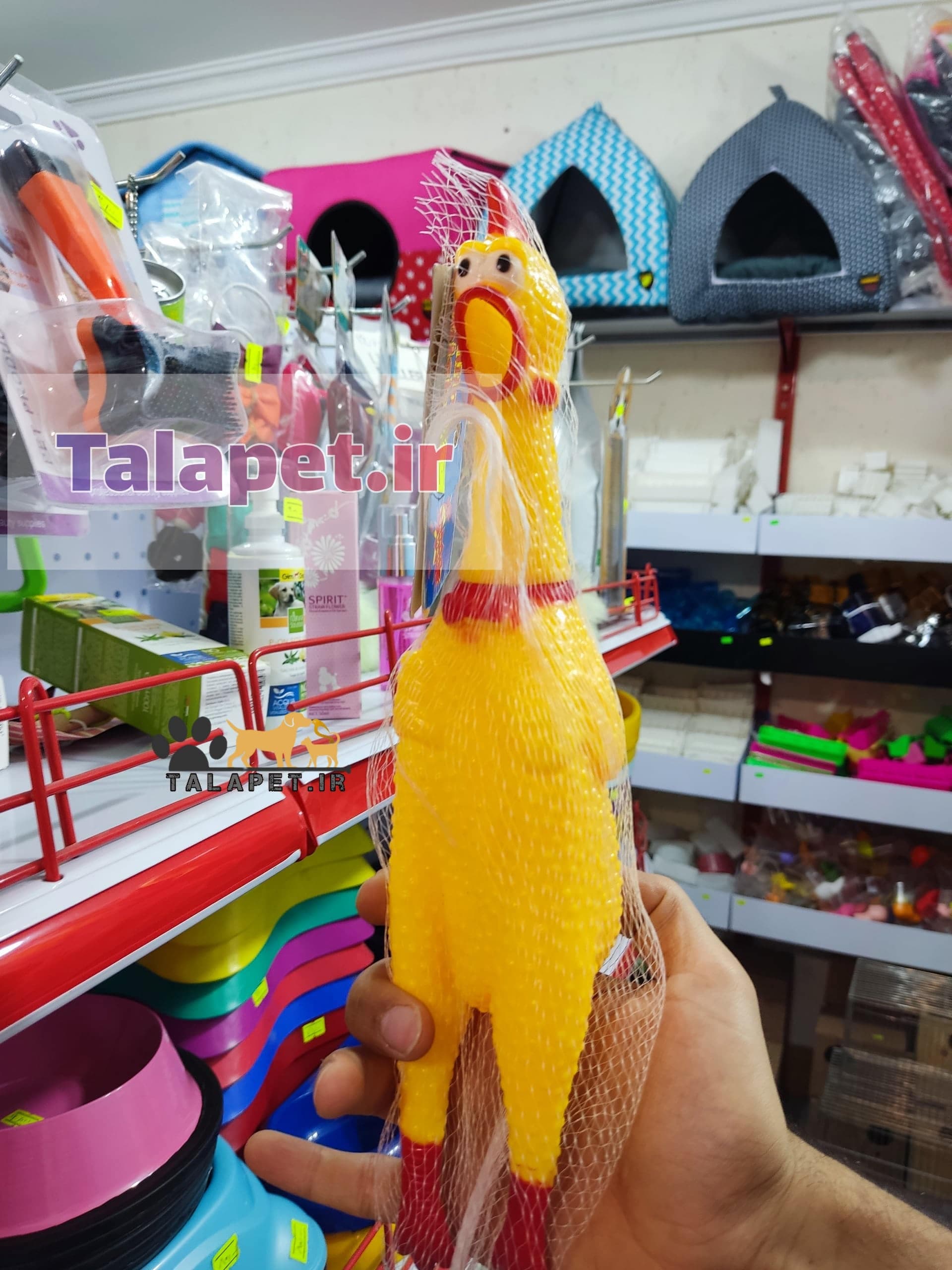 اسباب بازی مرغ نالان جنس لاتکس — تصویر ۳