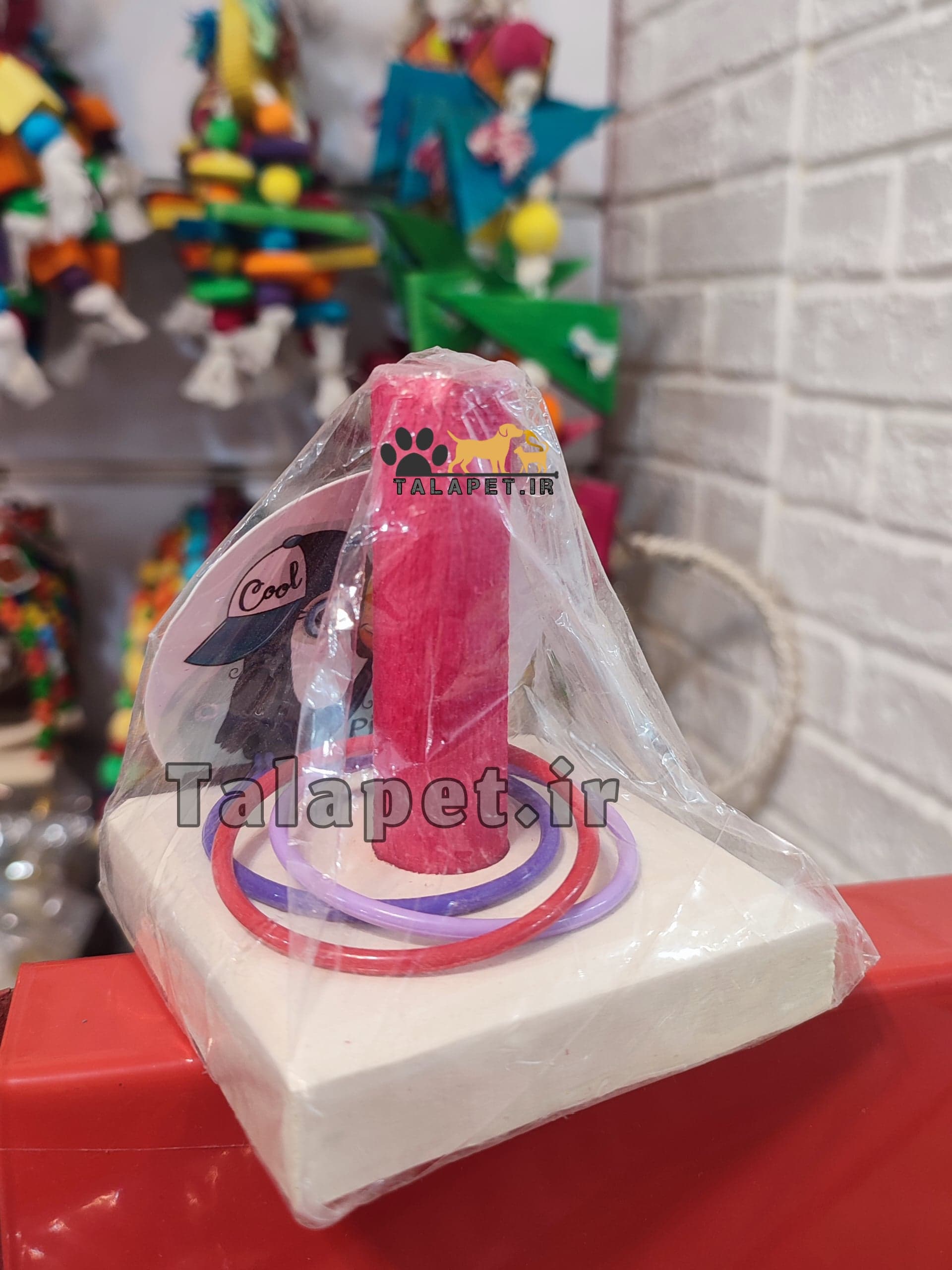اسباب بازی فکری حلقه و میله طوطیسانان و پرندگان زینتی — تصویر ۳