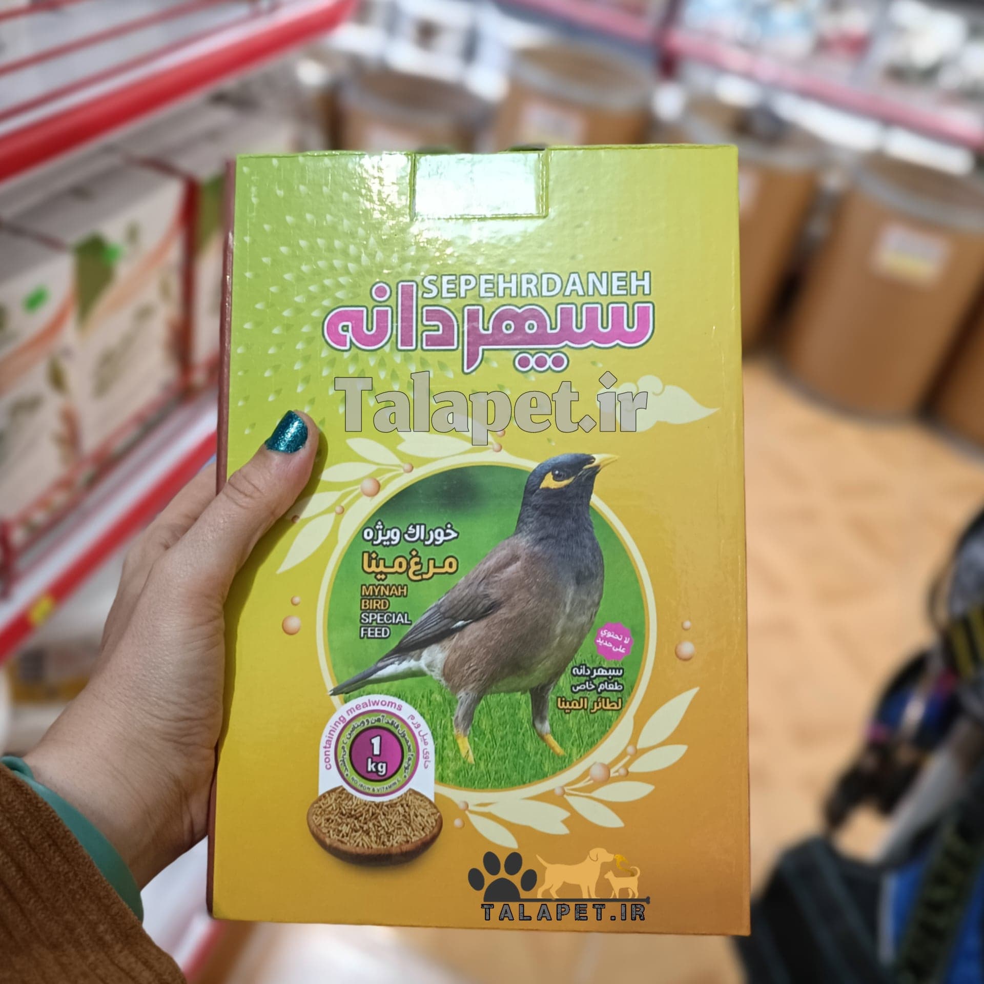 خوراک ویژه مرغ مینا سپهردانه — تصویر ۳
