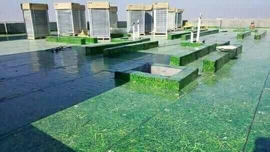 ایزوگام صادراتی اکسیر (ساده و طرحدار) — تصویر ۴