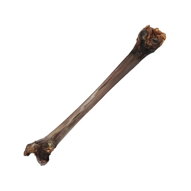تشویقی سگ هاپومیل مدل قلم شترمرغ کد Ostrich Bone — تصویر ۲