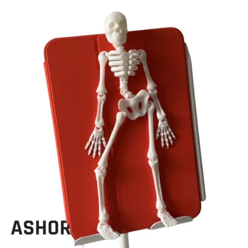 اسکلت فلکسی مفصلی پرینت سه بعدی | Ashor3D