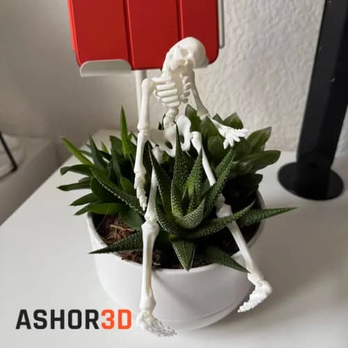 اسکلت فلکسی مفصلی پرینت سه بعدی | Ashor3D — تصویر ۲
