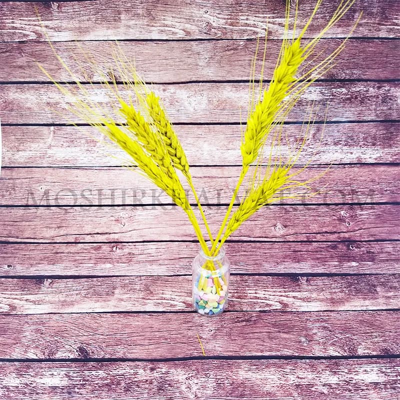 ویال 20 سی سی — تصویر ۴