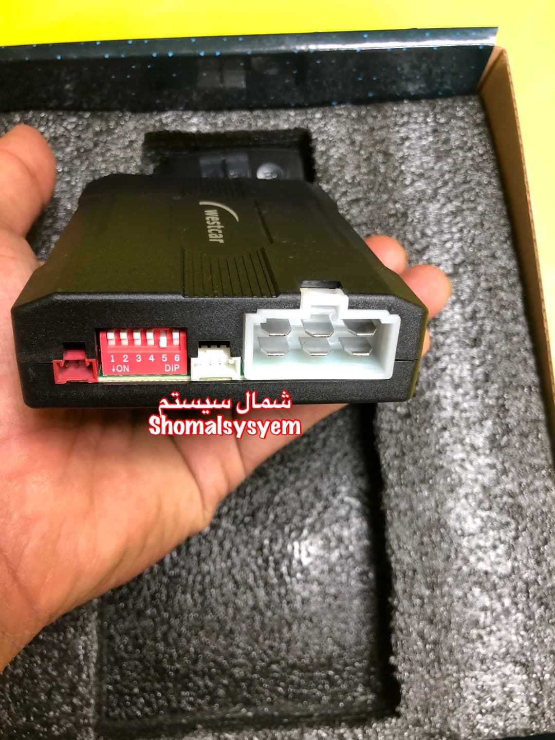 کیلس استارت وستکار — تصویر ۳