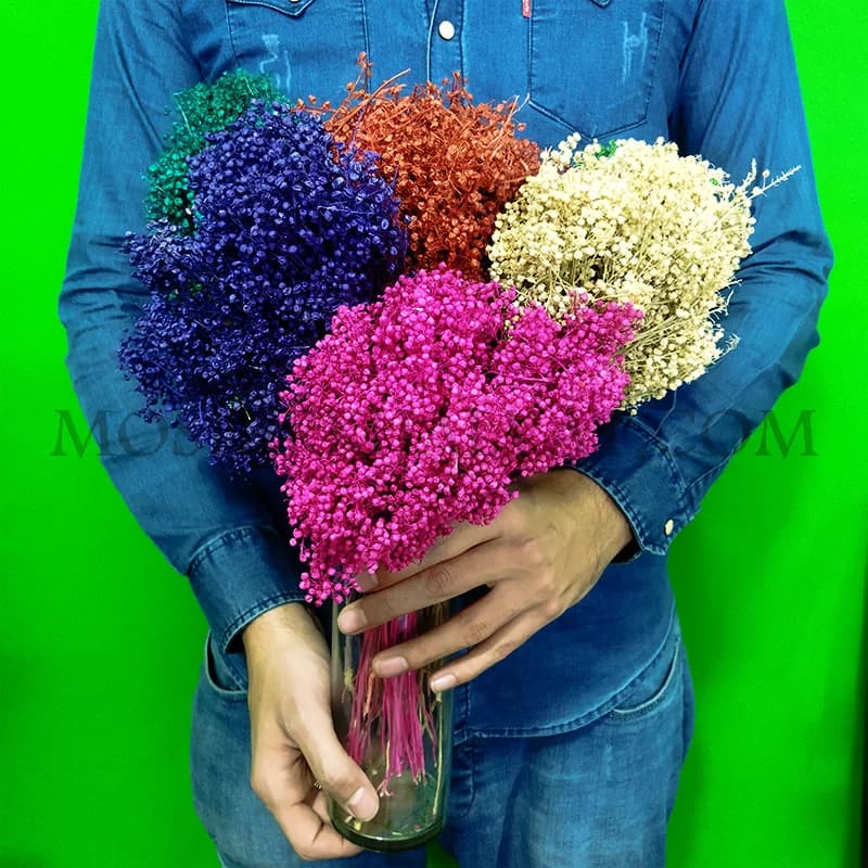گل خشک مدل عدسی — تصویر ۵