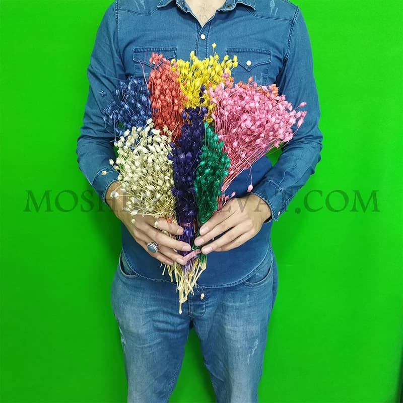 گل خشک مدل جغجغه ای — تصویر ۵