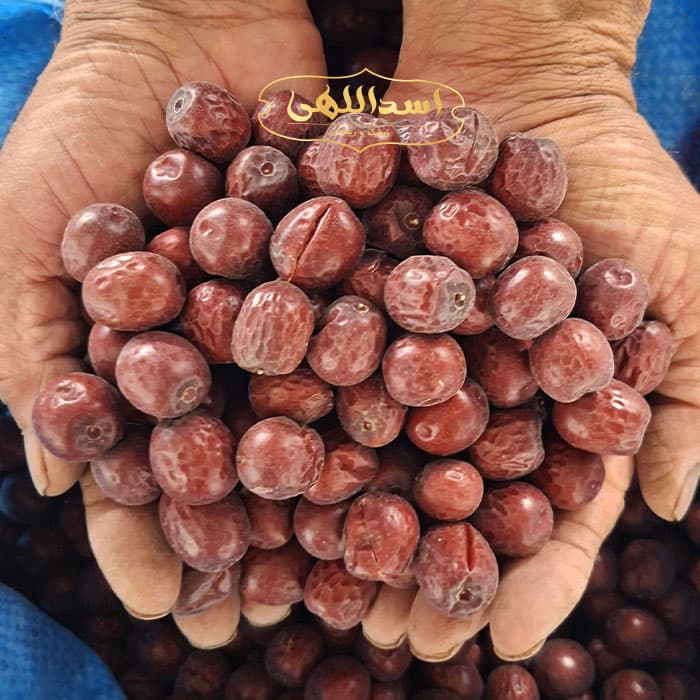 عناب خشک 500 گرم (سایز متوسط) — تصویر ۲
