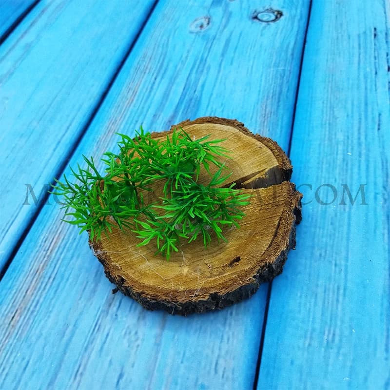 سبزه شویدی پلاستیکی — تصویر ۴