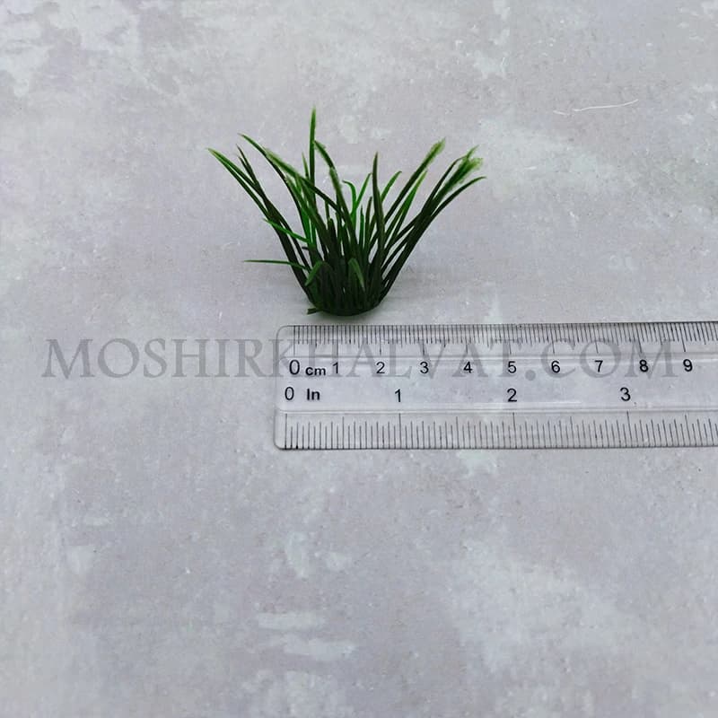 سبزه پلاستیکی گندمی — تصویر ۵