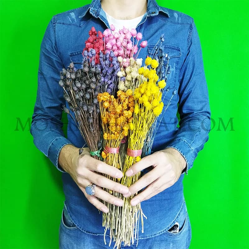 گل خشک مدل فندقی — تصویر ۵